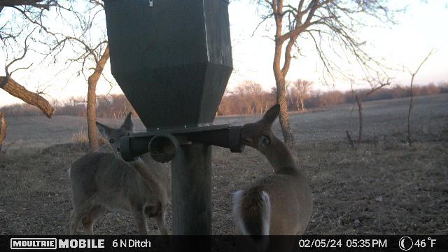 Banks Outdoors Feeder